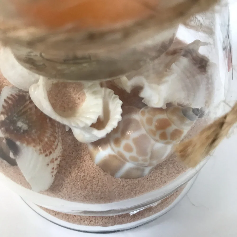 NWT Santa Monica Pier California Lantern Candle